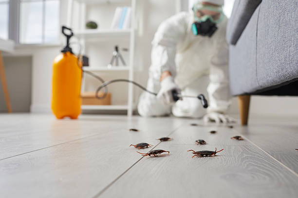 Commercial Kitchen Cockroach Control in Oakbrook